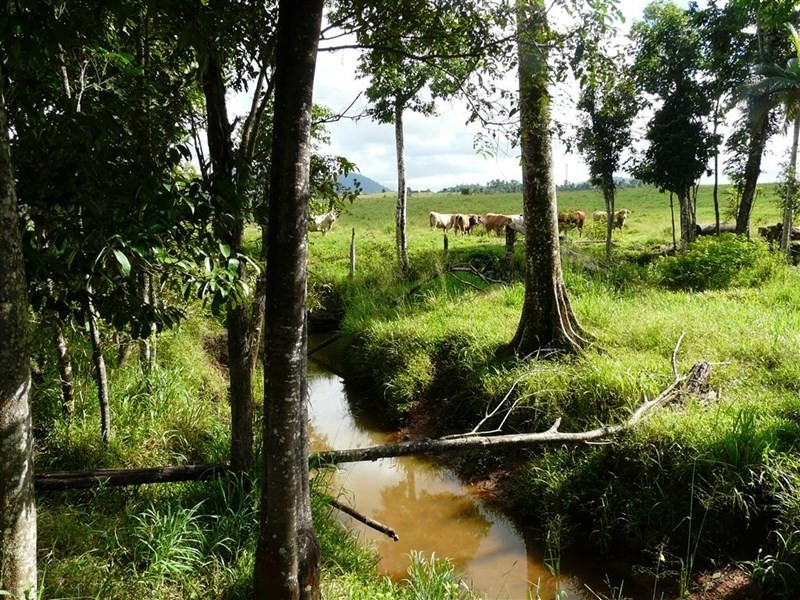 Lot 22 Mena Creek Road, Mena Creek QLD 4871