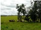 Lot 22 Mena Creek Road, Mena Creek QLD 4871