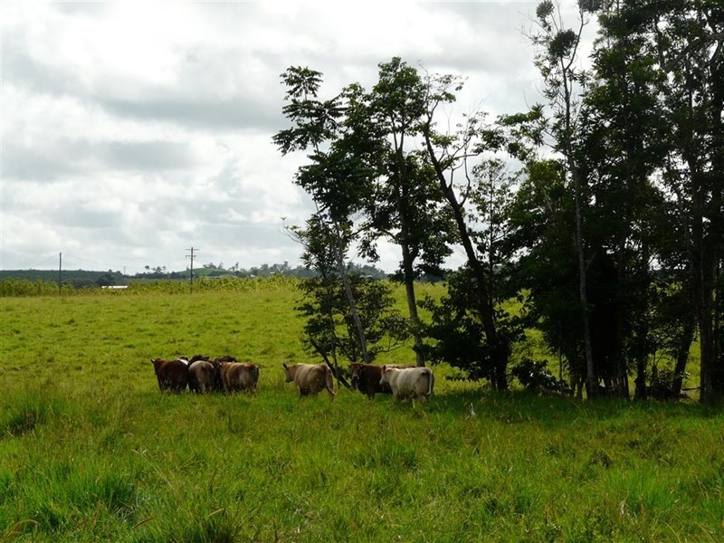 Lot 22 Mena Creek Road, Mena Creek QLD 4871
