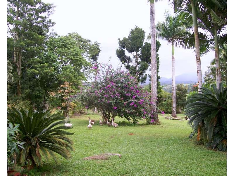 1400 Japoon Road, Mena Creek QLD 4871