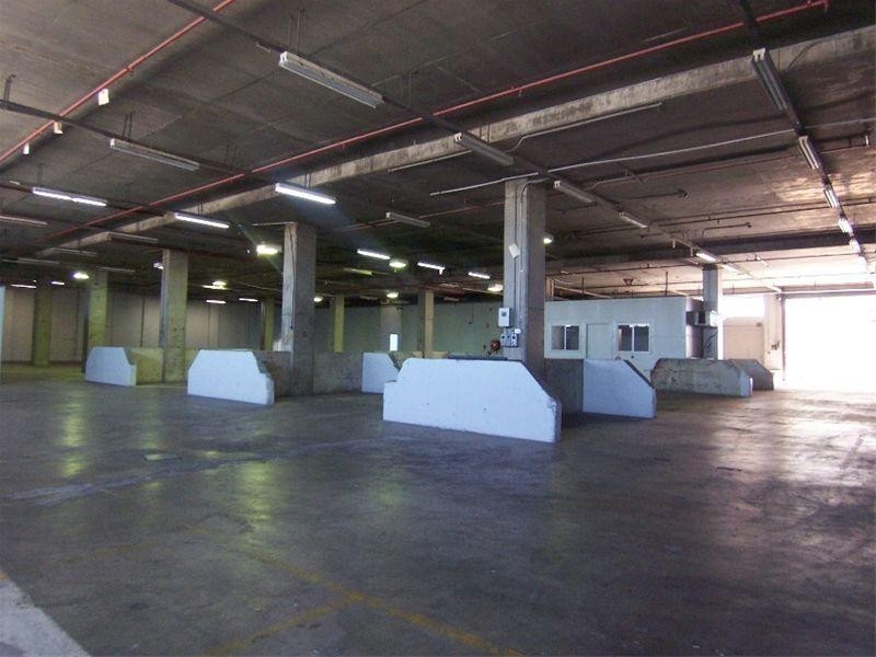 186 Kingsgrove Road, Kingsgrove NSW 2208