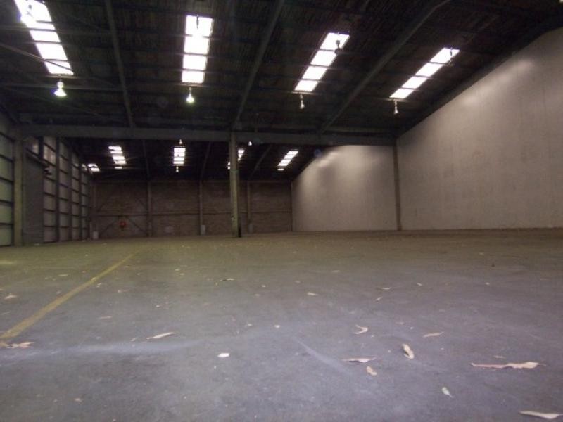 103 Vanessa Street, Kingsgrove NSW 2208