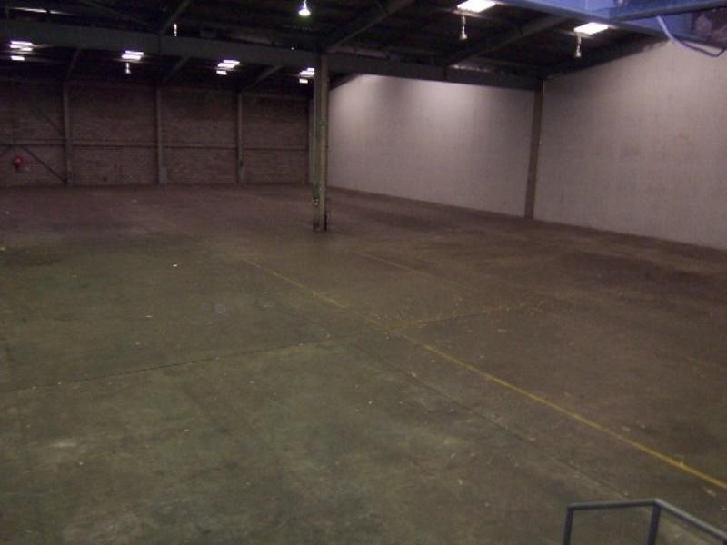 103 Vanessa Street, Kingsgrove NSW 2208