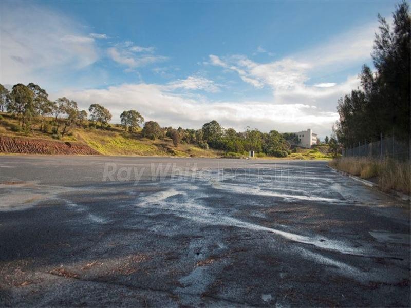 19 Swaffham Road, Minto NSW 2566