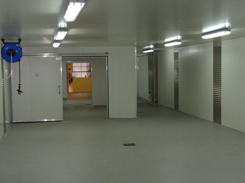 12 Shirlow Street, Marrickville NSW 2204