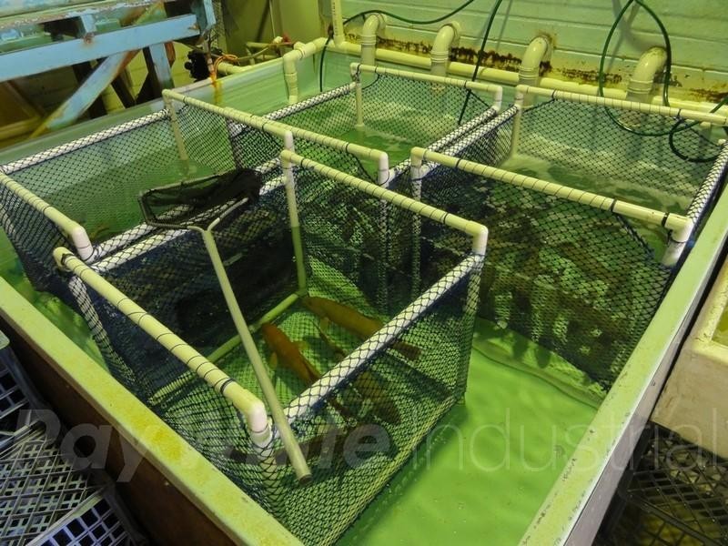 7/2A Burrows Road, St Peters NSW 2044