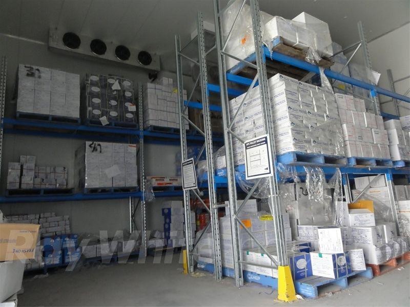 6/2A Burrows Road, St Peters NSW 2044