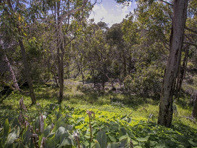 16 Maxine Court, Lesmurdie WA 6076