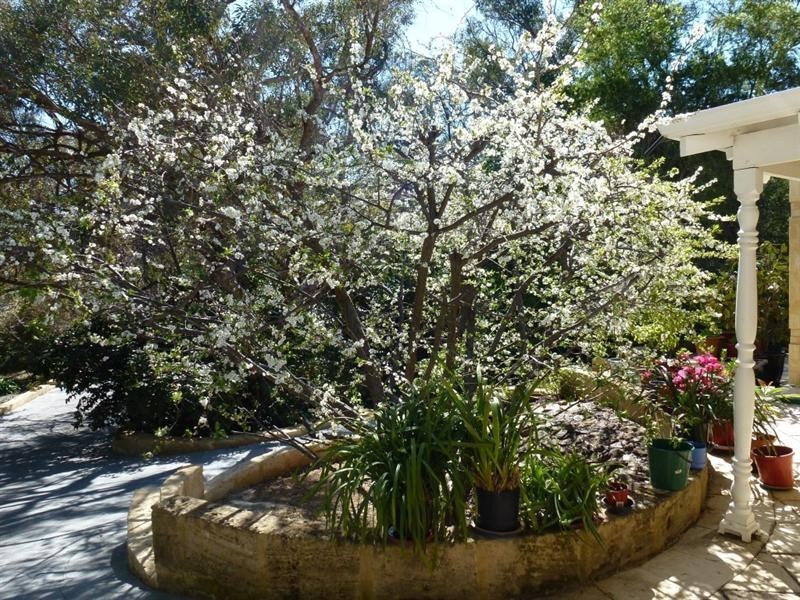 8 Taylor Road, Kalamunda WA 6076