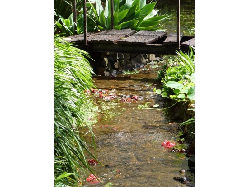 8 Taylor Road, Kalamunda WA 6076