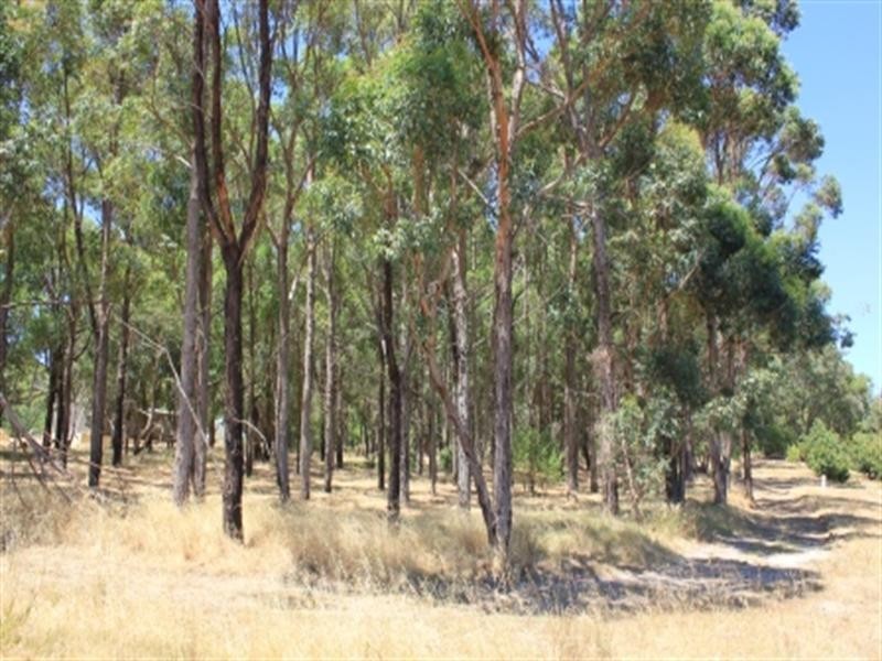 25 Turner Road, Carmel WA 6076