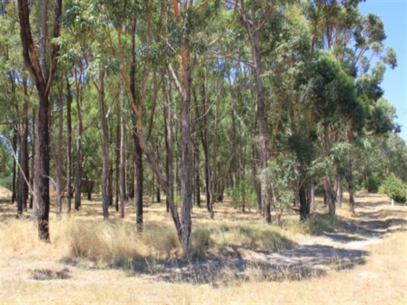 25 Turner Road, Carmel WA 6076