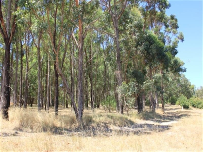 25 Turner Road, Carmel WA 6076