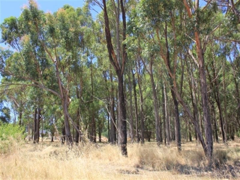 25 Turner Road, Carmel WA 6076