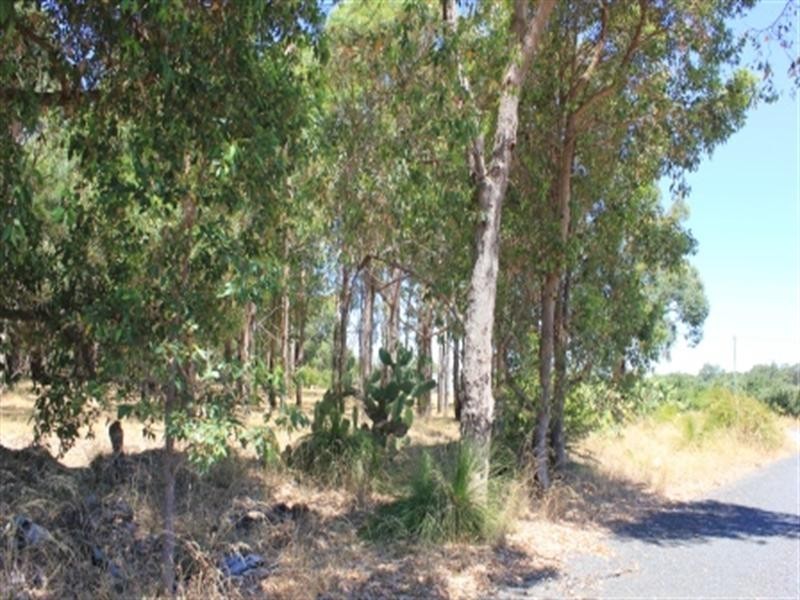 25 Turner Road, Carmel WA 6076