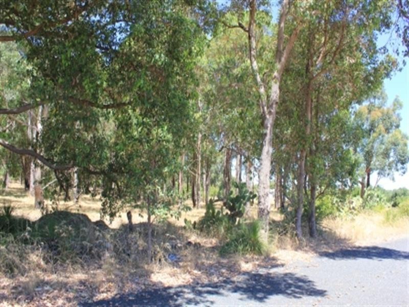 25 Turner Road, Carmel WA 6076