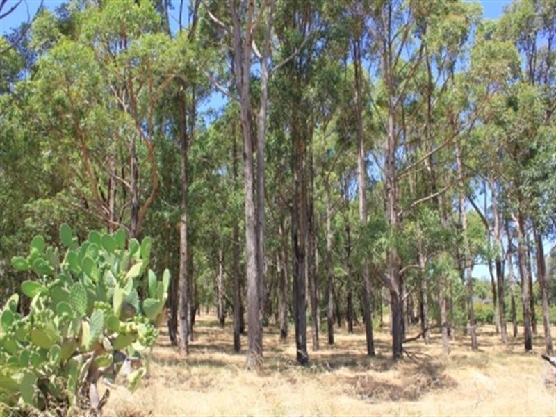 25 Turner Road, Carmel WA 6076