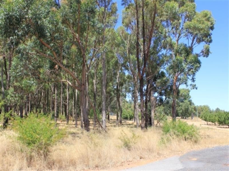 25 Turner Road, Carmel WA 6076