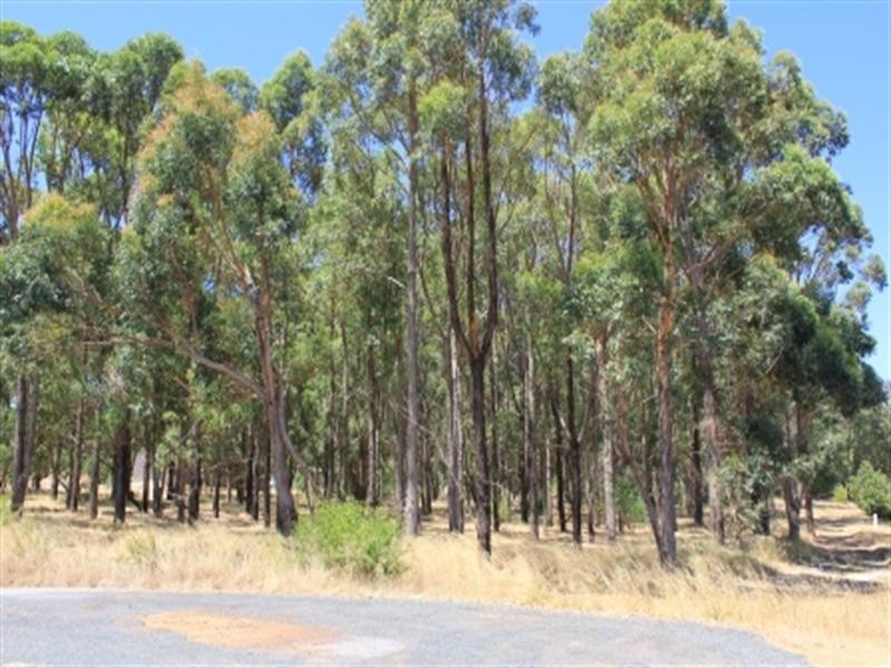 25 Turner Road, Carmel WA 6076