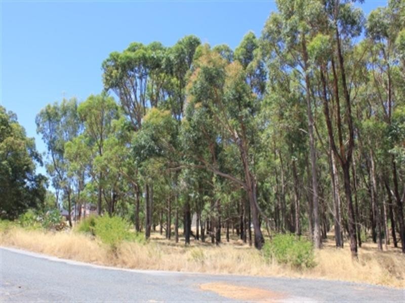 25 Turner Road, Carmel WA 6076