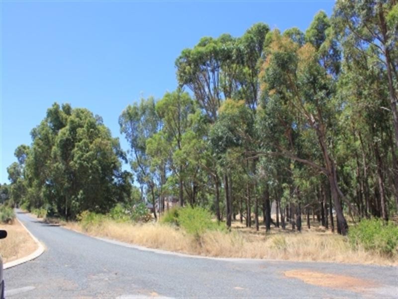 25 Turner Road, Carmel WA 6076