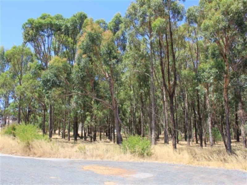 25 Turner Road, Carmel WA 6076