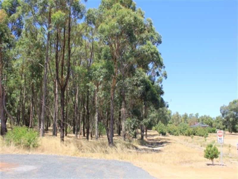 25 Turner Road, Carmel WA 6076