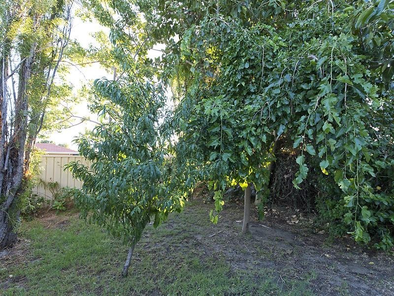 2 Cable Close, Seville Grove WA 6112