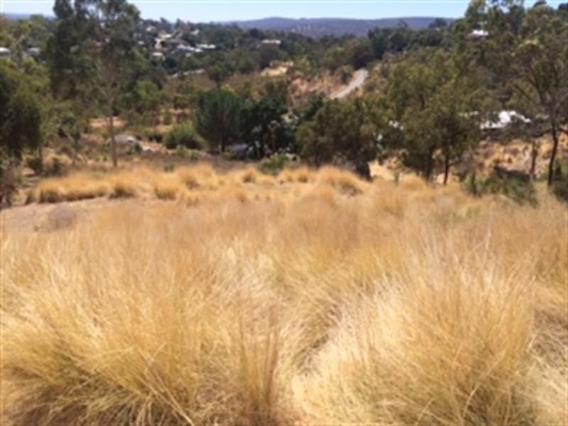 10 Grevillea Road, Swan View WA 6056