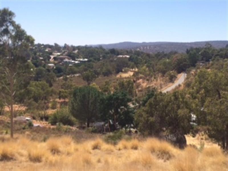 10 Grevillea Road, Swan View WA 6056