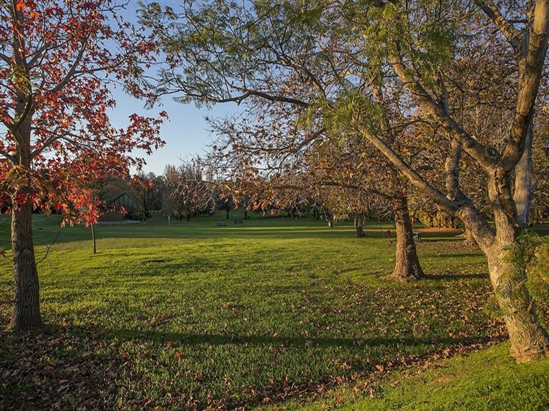 19 Kalamunda Road, Kalamunda WA 6076