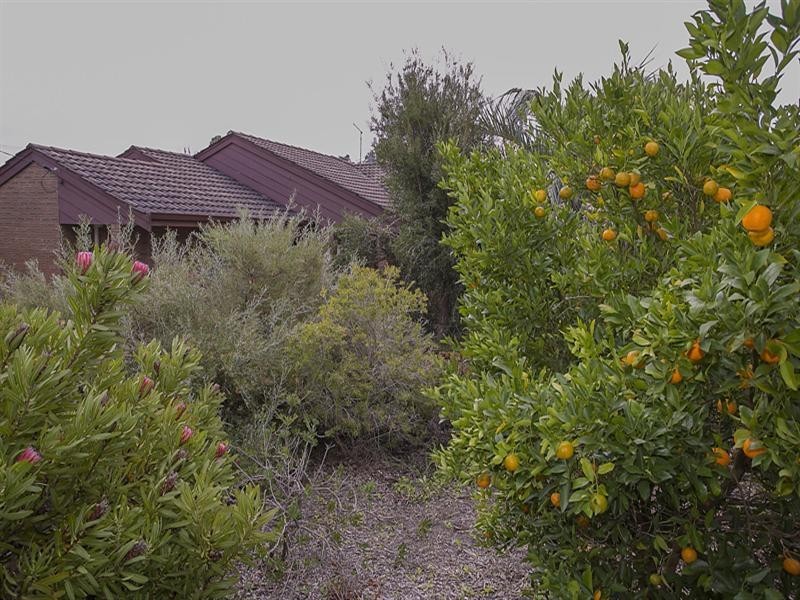 11 Tella Street, Gooseberry Hill WA 6076