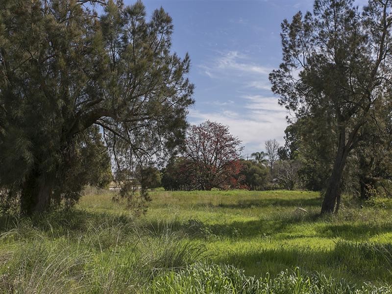 17 Cara Way, Wattle Grove WA 6107