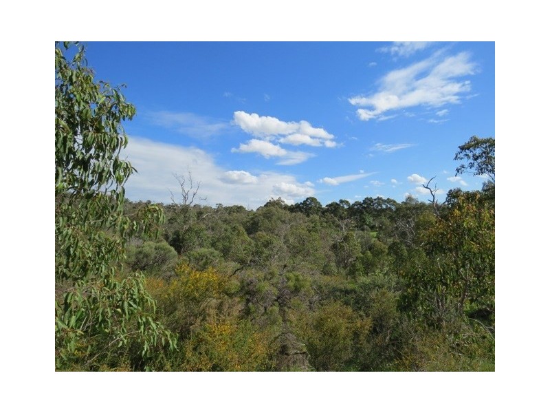 86 John Farrant Drive, Gooseberry Hill WA 6076