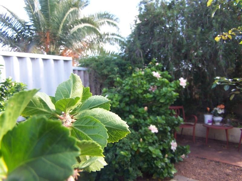 87 Newburn Road, High Wycombe WA 6057