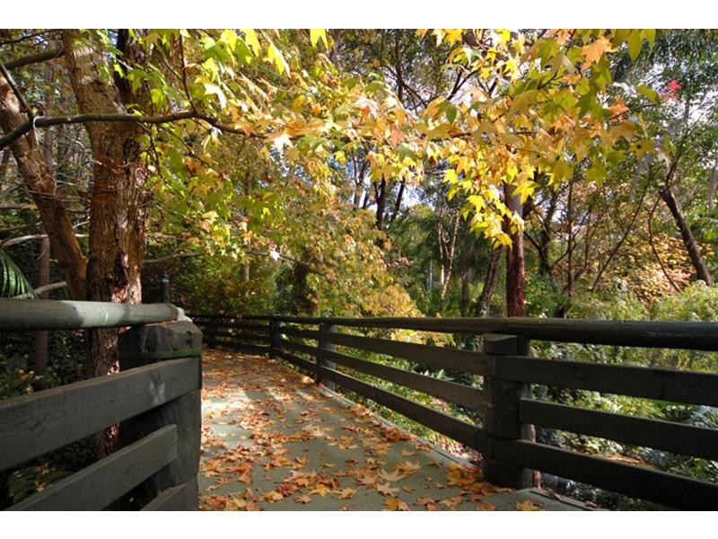 66 Spring Road, Kalamunda WA 6076