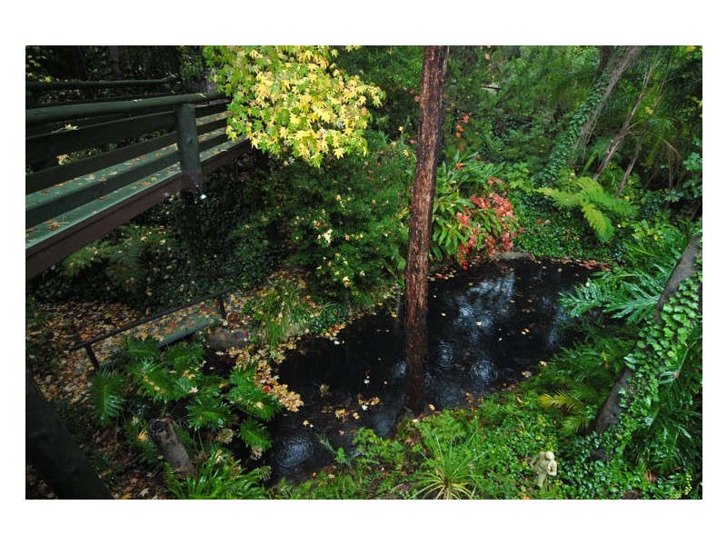 66 Spring Road, Kalamunda WA 6076