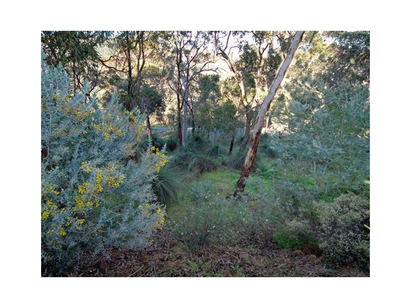 29 Windy Ridge Lane, Kalamunda WA 6076