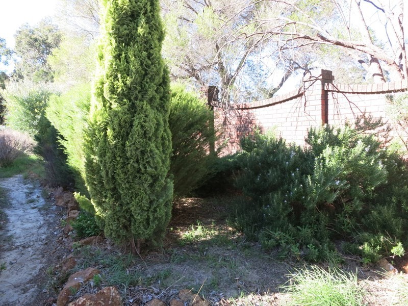 310A Lesmurdie Road, Lesmurdie WA 6076