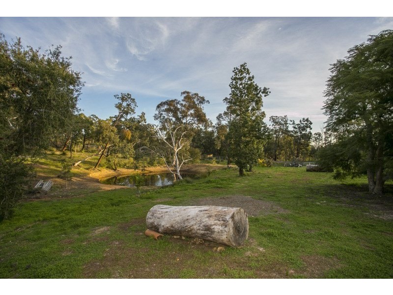 45 Palm Terrace, Forrestfield WA 6058