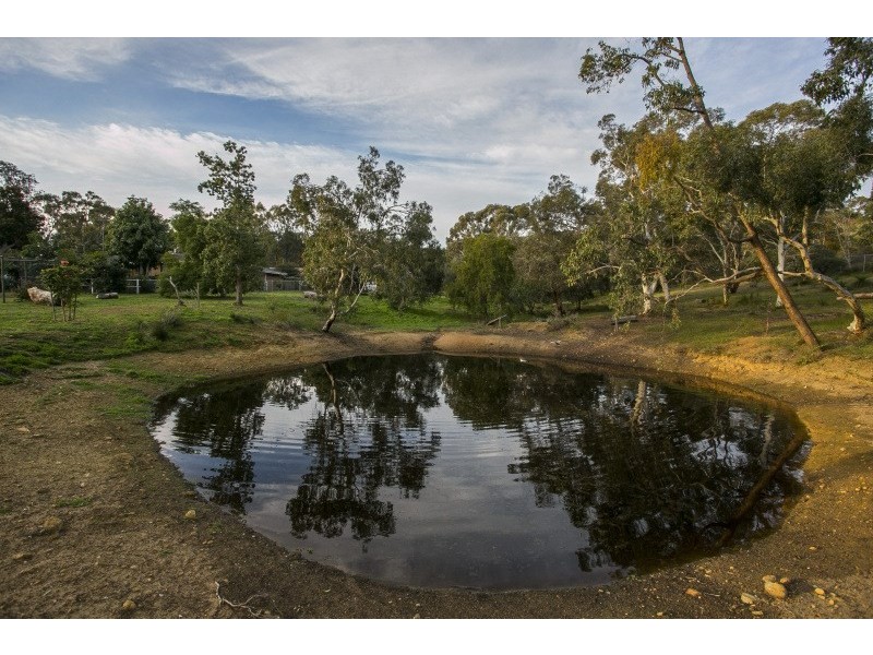 45 Palm Terrace, Forrestfield WA 6058