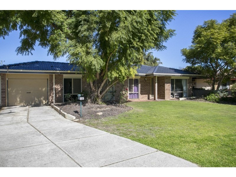 197 Newburn Road, High Wycombe WA 6057