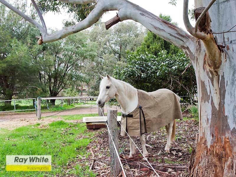 135 Mons Road, Hovea WA 6071