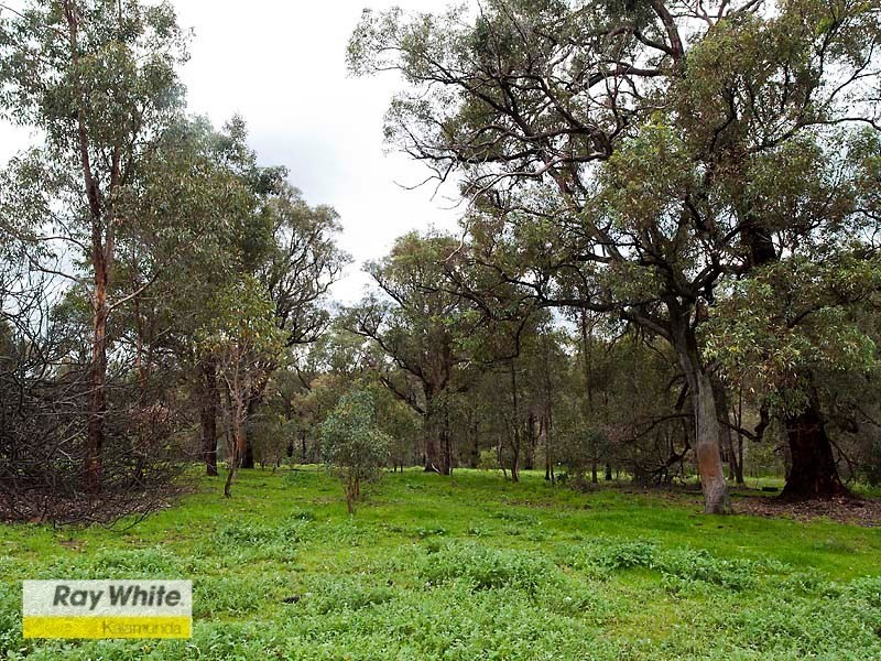 135 Mons Road, Hovea WA 6071