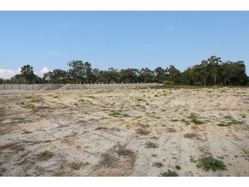 14 Brentwood Road, Wattle Grove WA 6107