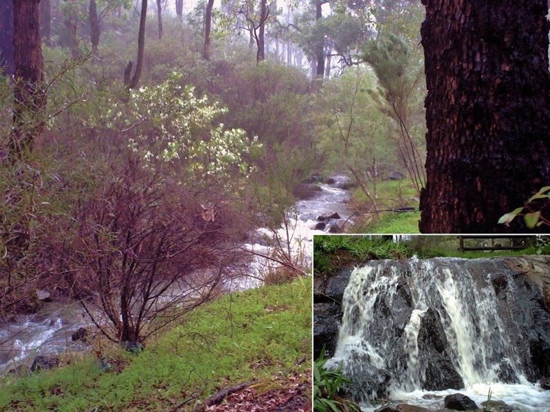 315 Ryecroft Road, Darlington WA 6070