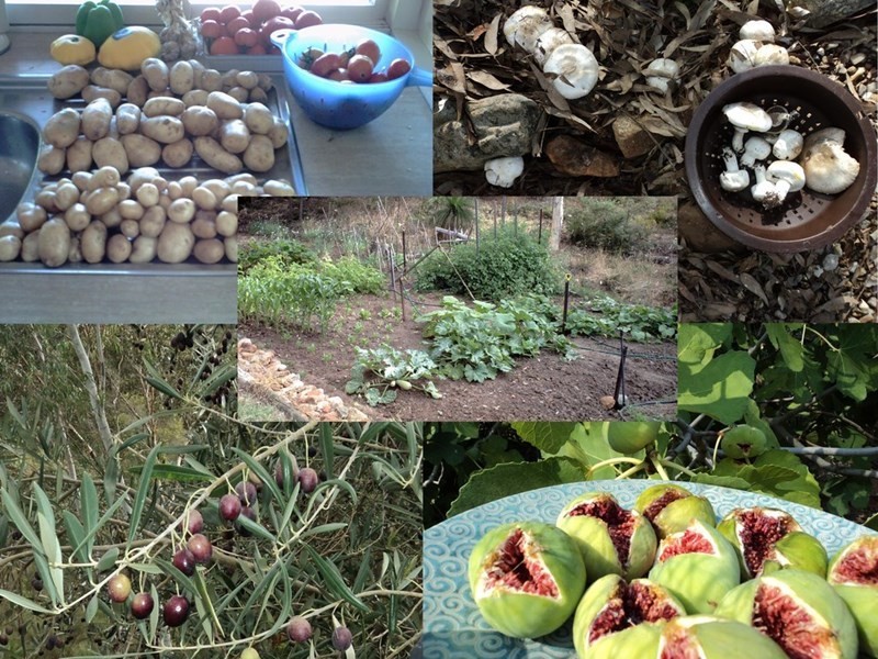 315 Ryecroft Road, Darlington WA 6070