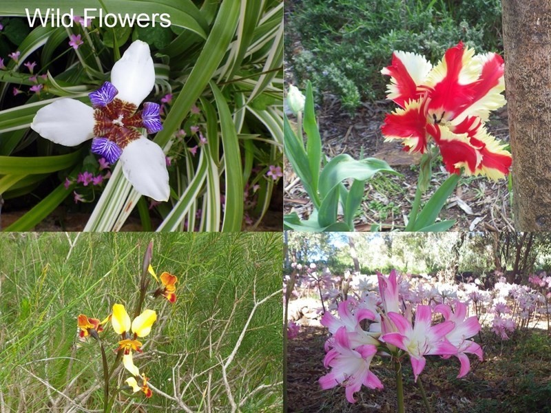 315 Ryecroft Road, Darlington WA 6070