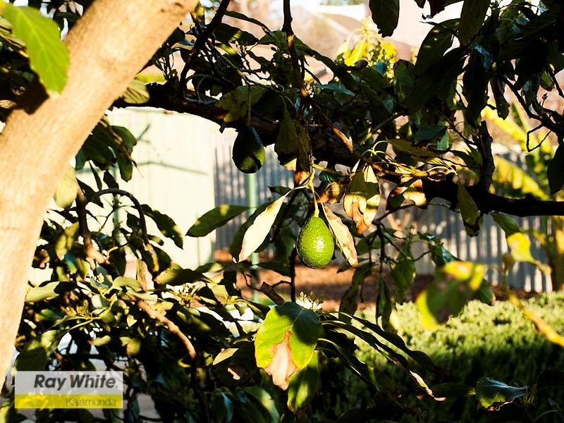 47 Fletcher Road, Lesmurdie WA 6076