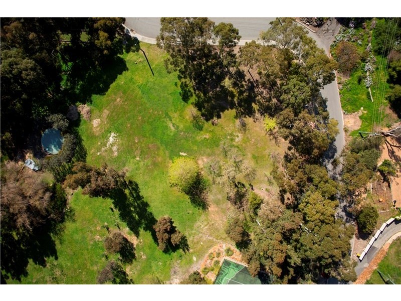 16 Torwood Drive, Gooseberry Hill WA 6076